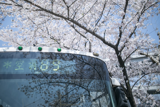 衡阳公交怎么用手机支付 衡阳公交车怎么支付