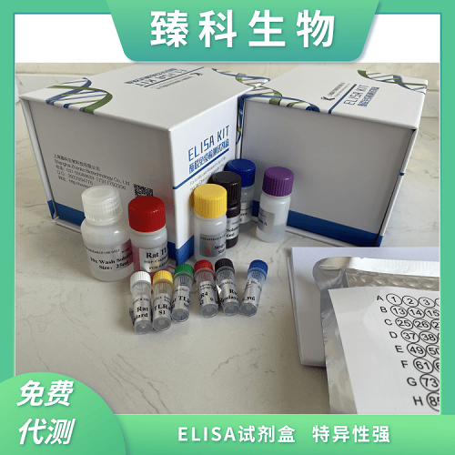 小鼠糖蛋白130(gp130）elisa试剂盒产品说明书