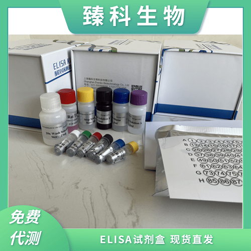 小鼠高铁血红蛋白(MHB）elisa试剂盒产品说明书 