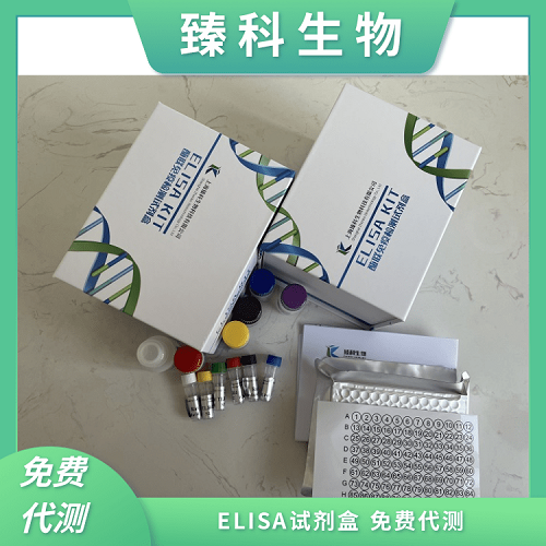 小鼠β连环蛋白/联蛋白(β-Cat）elisa试剂盒使用说明书 