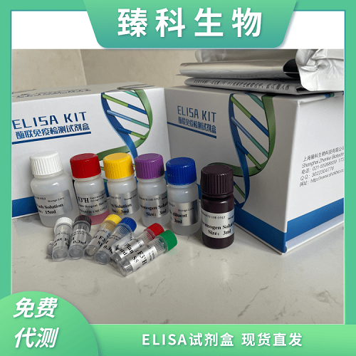 小鼠Qa淋巴细胞抗原2(Qa-2）elisa试剂盒使用说明书 