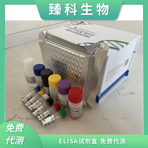 小鼠FMS样酪氨酸激酶3配体(Flt3L）elisa试剂盒科研专用 