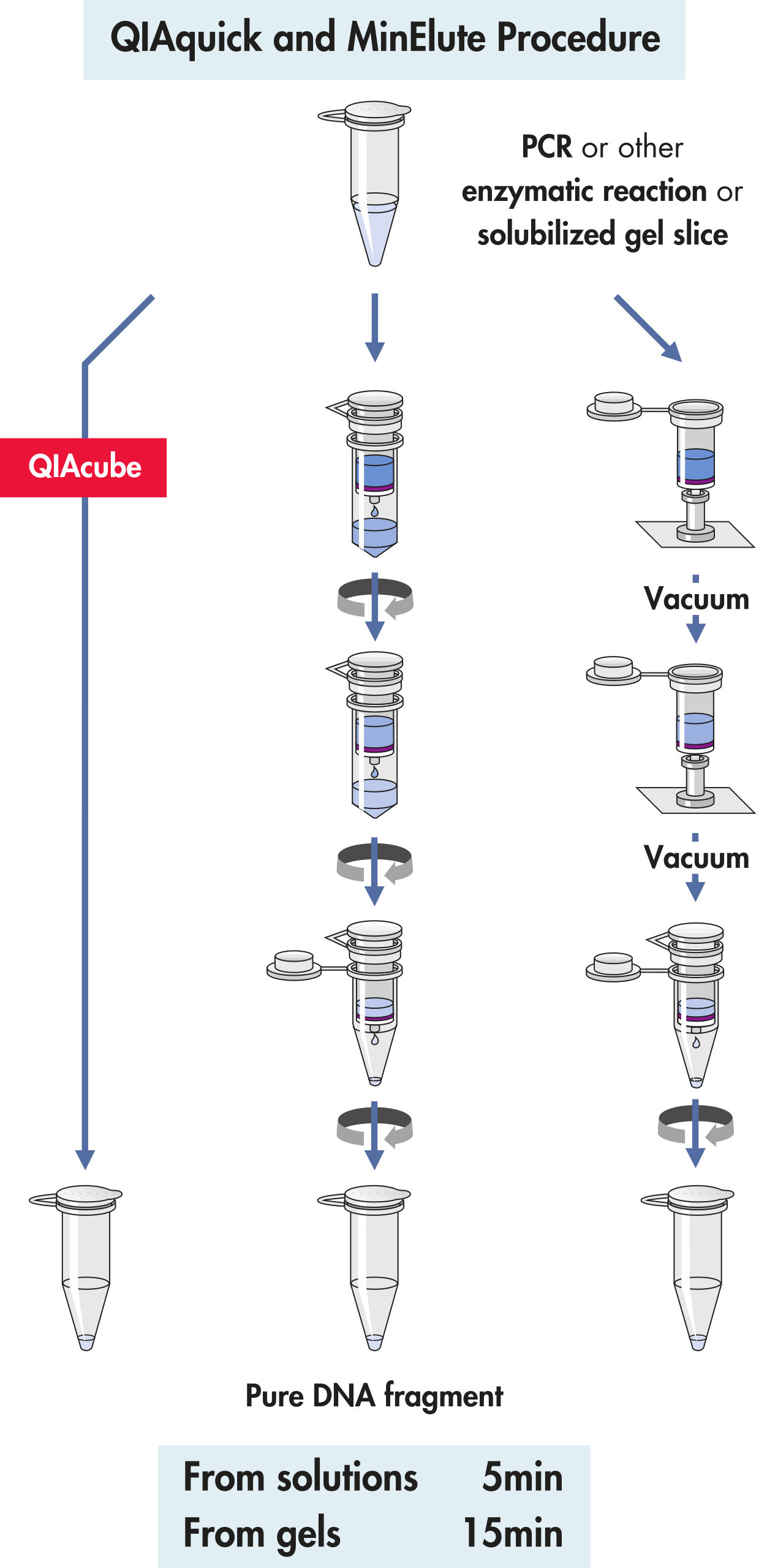 QIAGEN胶回收试剂盒QIAquick Gel Extraction Kit(28704)产品介绍 