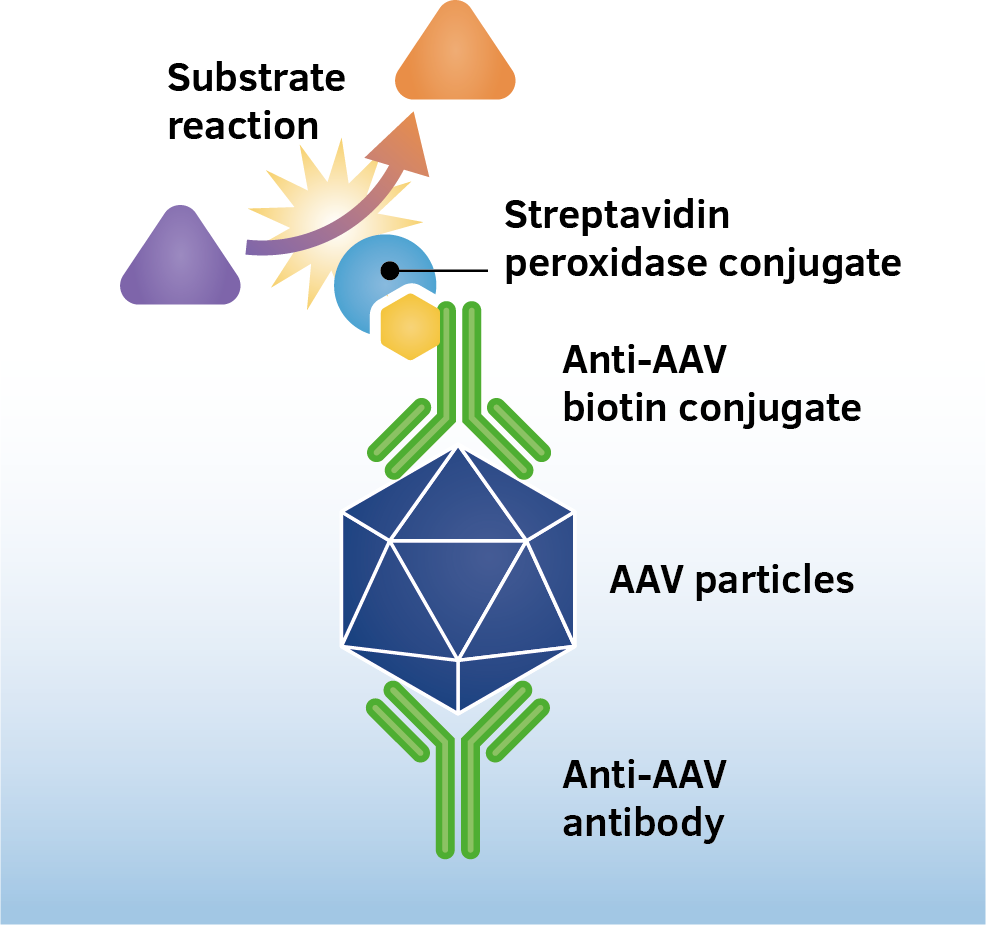 AAV2 Titration ELISA