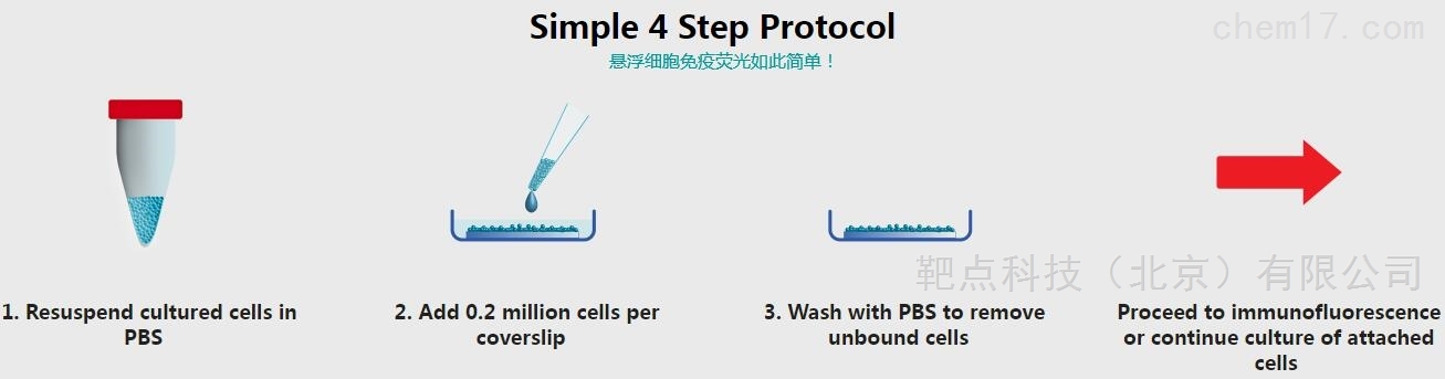 悬浮细胞的培养和悬浮细胞的固定 