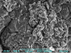 中科科仪扫描电镜在地质学研究中的应用 