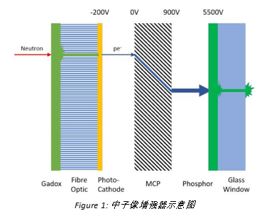 基于Gd2O2S闪烁体的 像增强型sCMOS 中子相机 