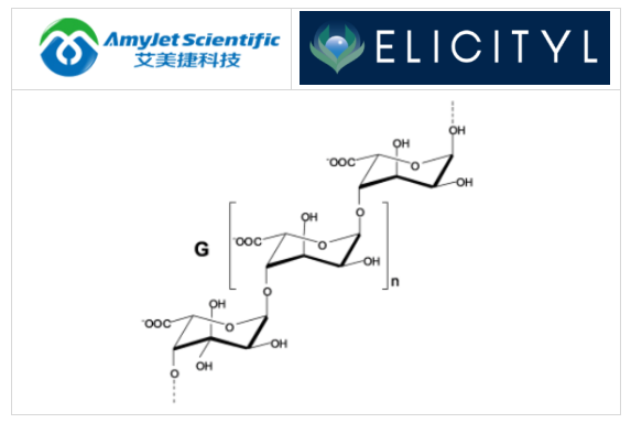 Elicityl/艾美捷酸低聚糖：古洛糖醛寡糖 DP25-DP45生物学研究 