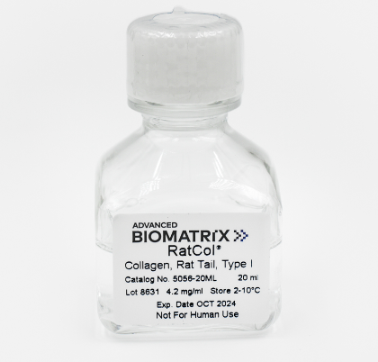 Advanced BioMatrix 鼠尾胶原溶液Ⅰ型在细胞培养中的作用 