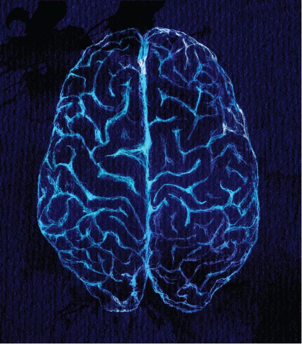 StressMarq Biosciences带你走进神经科学（一） 