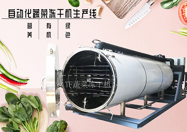 食品加工新趋势——上海拓纷自动化蔬菜冻干机生产线 
