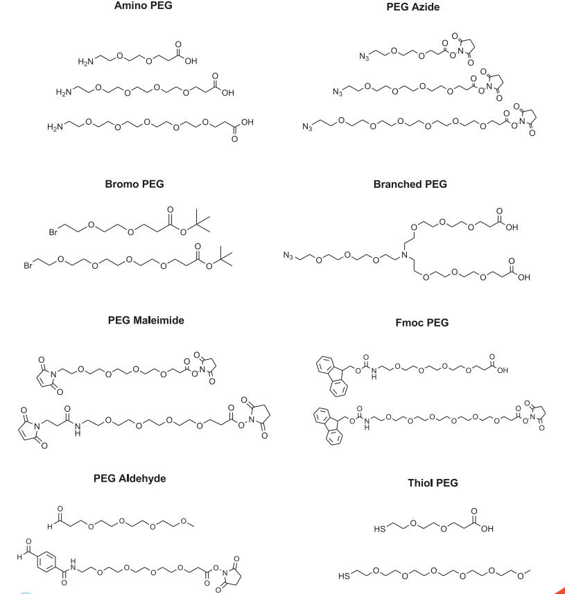 BroadPharm-2.png