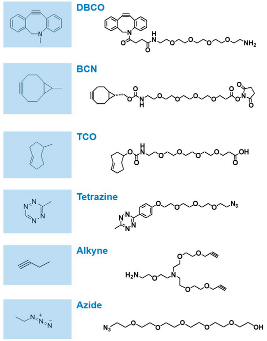 BroadPharm-4.png