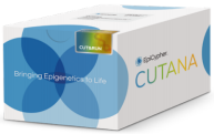 CUTANA™ CUT&RUN Assays  ——实现超敏基因组定位