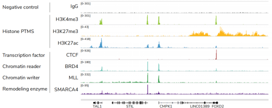 CUTANA™ CUT&RUN Assays  ——实现超敏基因组定位