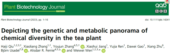 植物组学丨多组学技术解析茶树化学多样性 