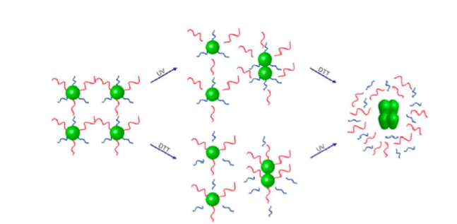 【Tanshtech】多重刺激响应型聚合物胶束定制和介绍 